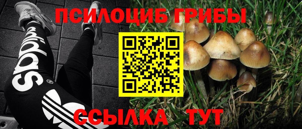 Псилоцибиновые грибы Psilocybine cubensis  Вход с VPN  Арзамас 